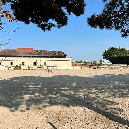 Cosy - Vue Appartement